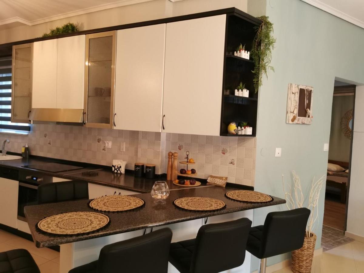 Theia Analipsi Central Apartment Kateríni Kültér fotó