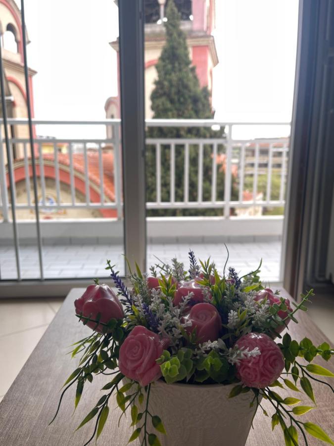 Theia Analipsi Central Apartment Kateríni Kültér fotó